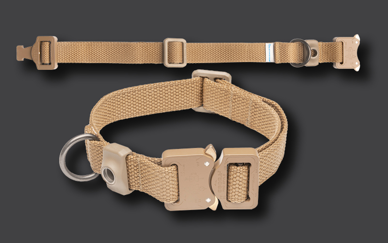 Best Dog Collars