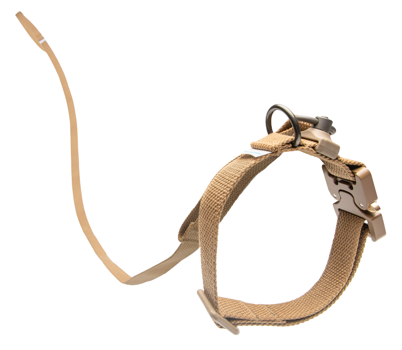 Leash and collar attached in brown