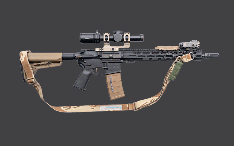 Limited Edition DTS Sling on AR and AK